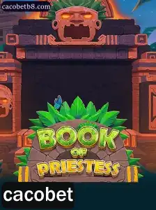 Explorando o Universo de BookOfPriestess: Uma Jornada Mística